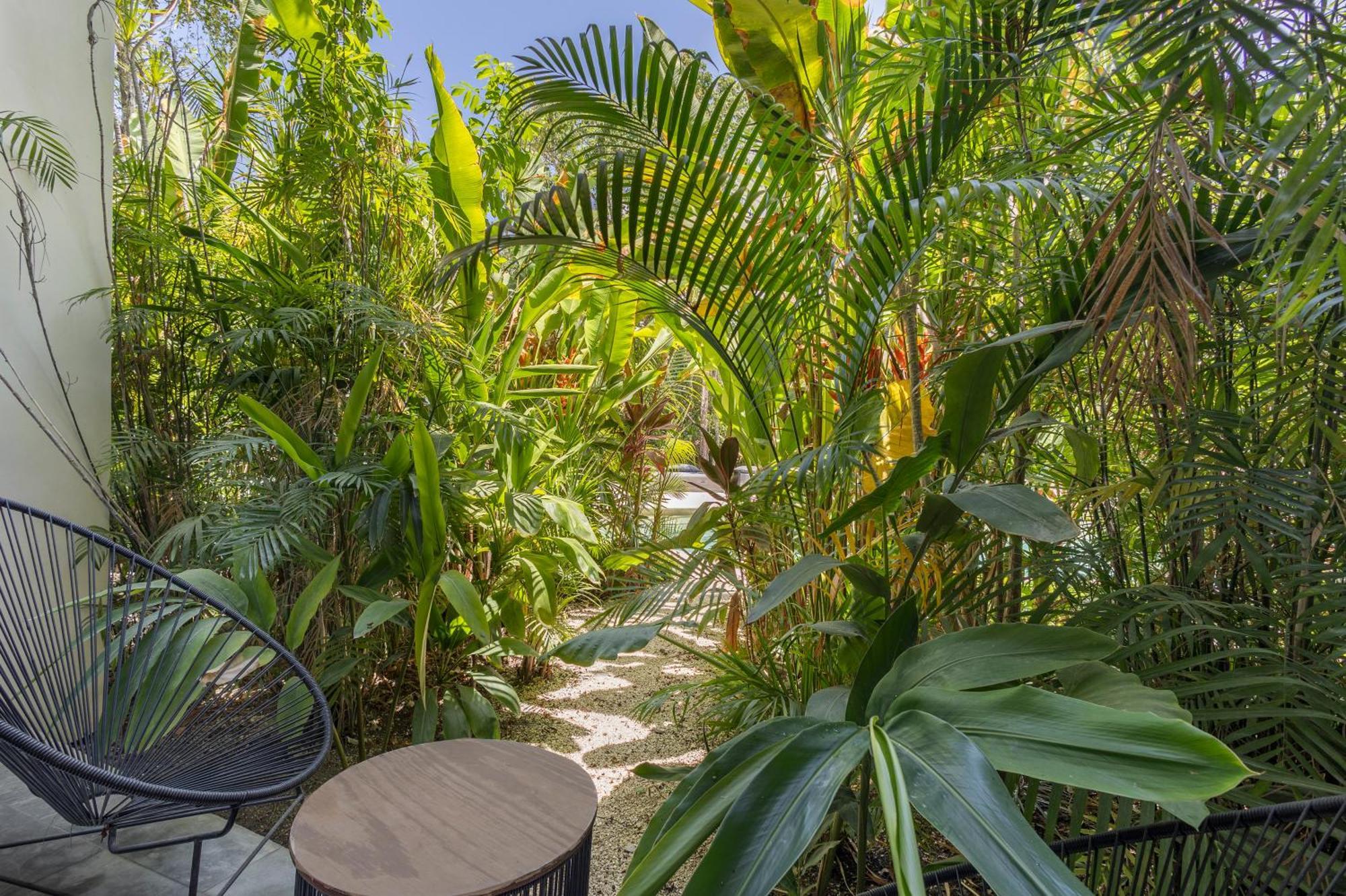Mistiq Gardens Apartment Tulum Ngoại thất bức ảnh