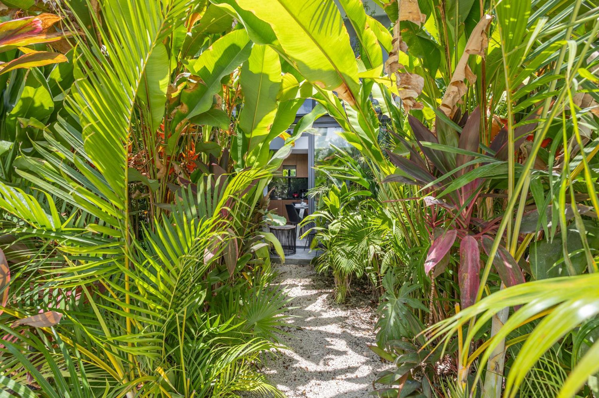 Mistiq Gardens Apartment Tulum Phòng bức ảnh